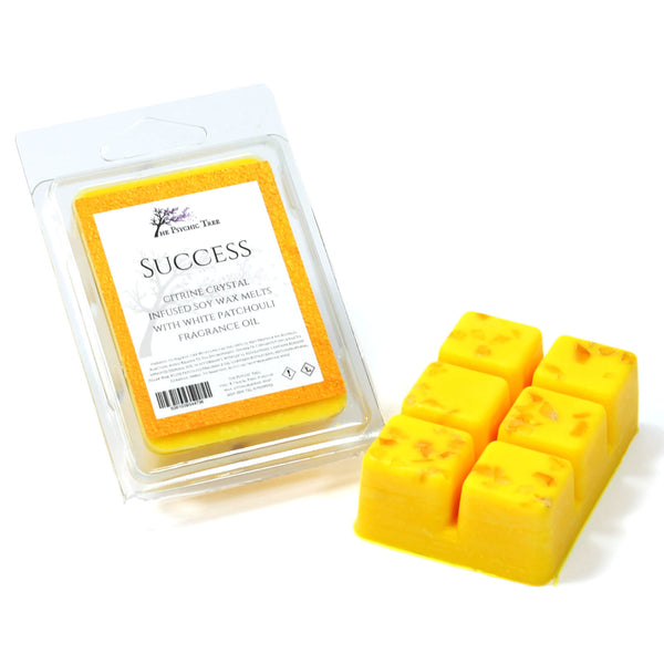 Success - Crystal Infused Scented Wax Melts