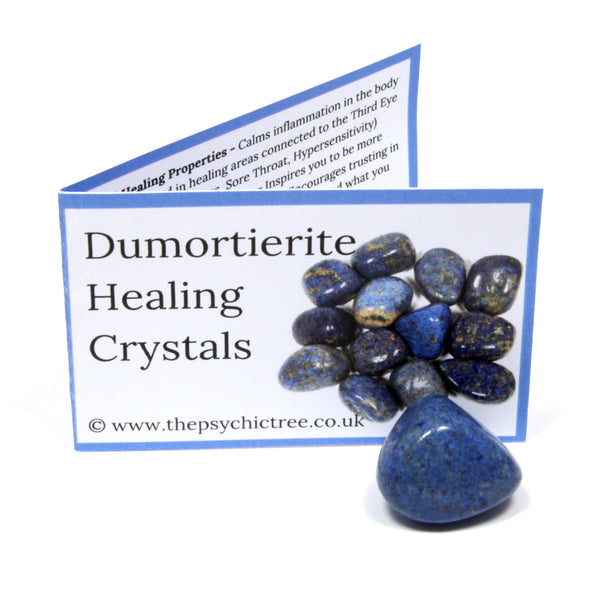 Dumortierite Crystal & Guide Pack