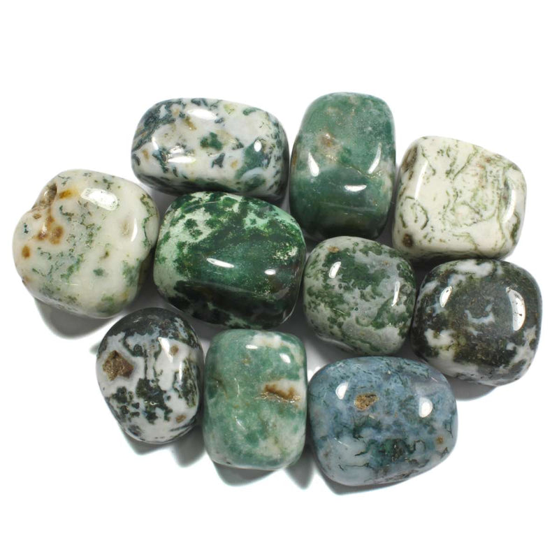 Tree Jasper Polished Tumblestone Healing Crystals