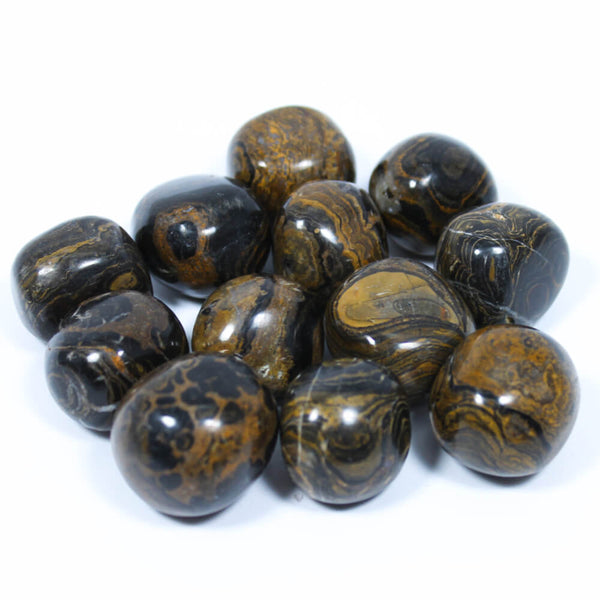 Stromatolite Polished Tumblestone Healing Crystals